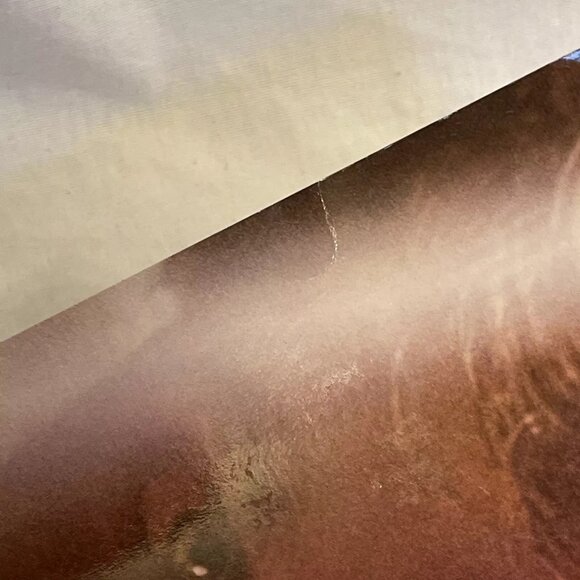 Spirit Vol 1 #21 Nor Prison Walls Paul Smith Cover DC Comics 2008 Sergio Aragoné - Picture 9 of 11